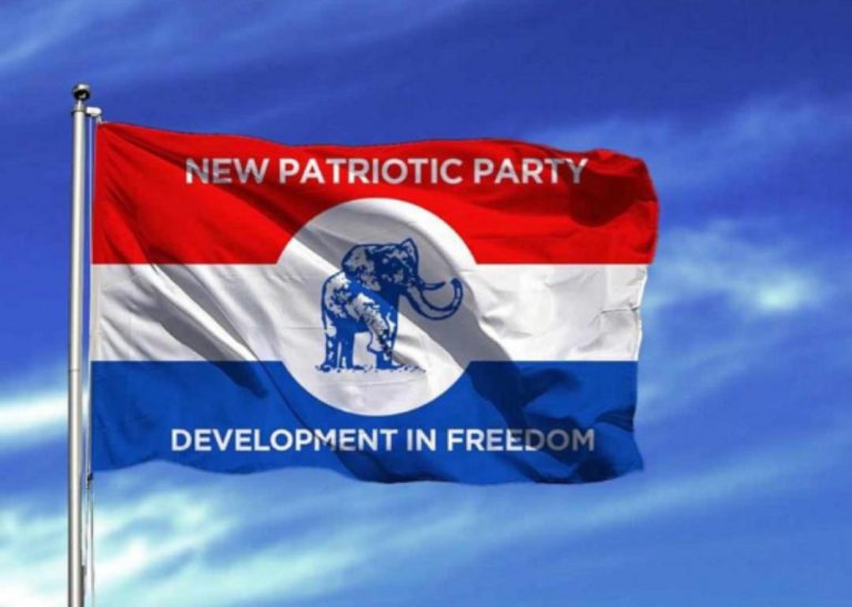 NPP likely to hold presidential primaries in November