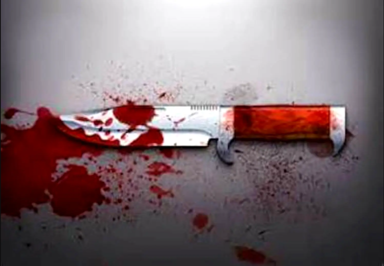 Man stabs brother-in-law to death in his sleep