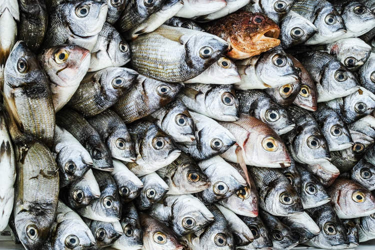 Lajamanu – The Arid Australian Town Where It Keeps Raining Fish