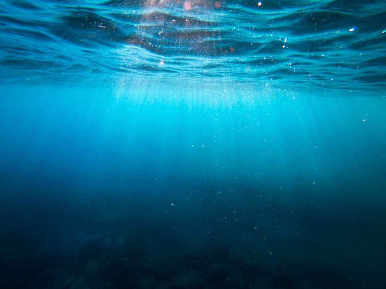 Man Is Living Underwater for 100 Days to See How It Affects His Body and Mind