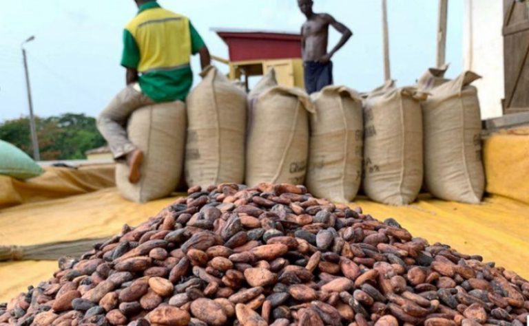 Ghana’s cocoa farmers lament low earnings amid high prices