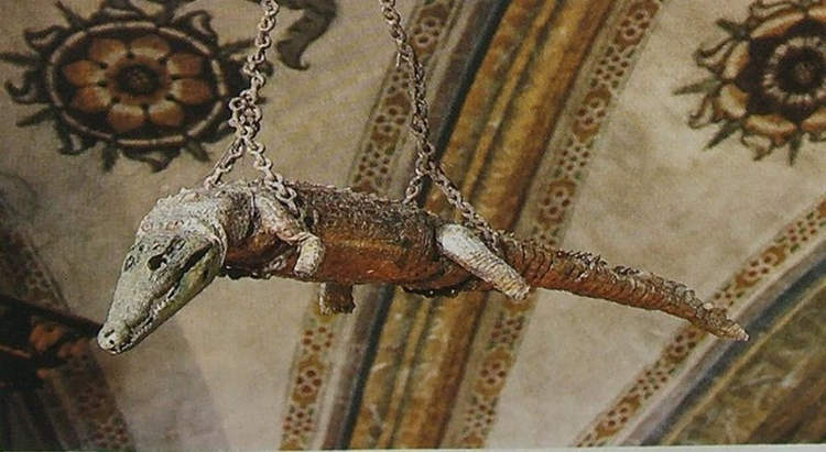 This Italian Church Has a 500-Year-Old Crocodile Hanging from the Ceiling