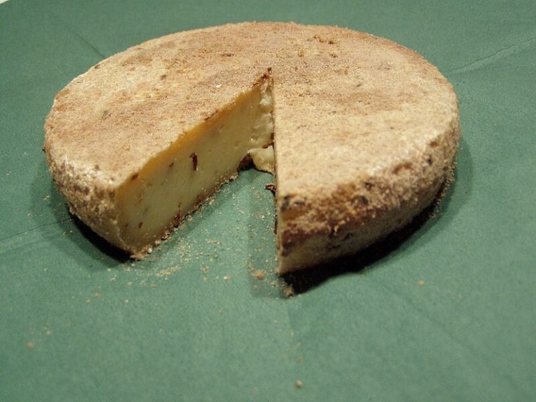 Milbenkäse – The Rare German Cheese Infested with Live Mites