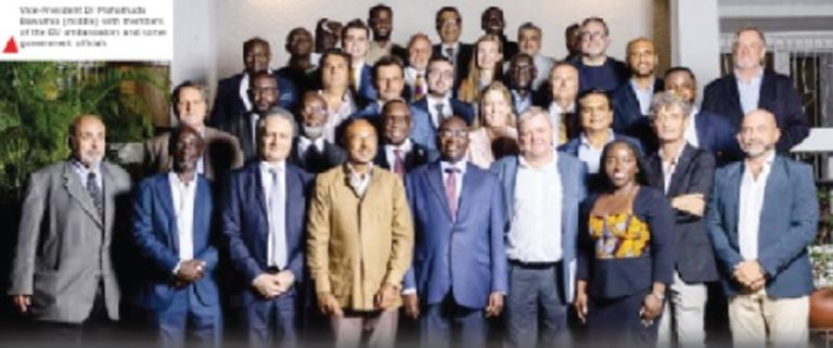 Bawumia meets EU Ambassadors